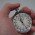 256328_stopwatch_1